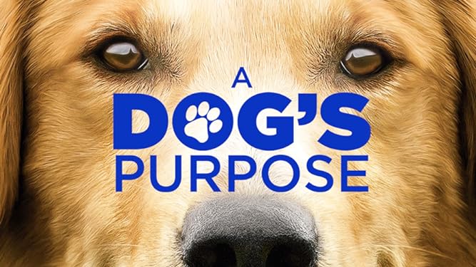 Dónde ver a dogs purpose